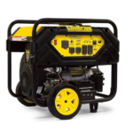 Champion Power Equipment 15,000/12,000 Watts Portable Generator with Electric Start & Lift Hook